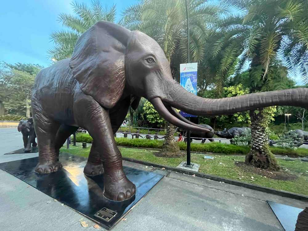 If we don’t protect endangered species, this might be the only way to ...